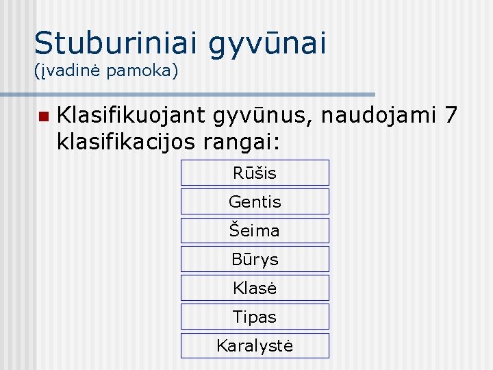 Stuburiniai gyvūnai (įvadinė pamoka) n Klasifikuojant gyvūnus, naudojami 7 klasifikacijos rangai: Rūšis Gentis Šeima