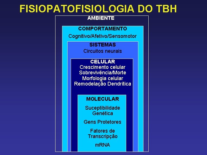 FISIOPATOFISIOLOGIA DO TBH AMBIENTE COMPORTAMENTO Cognitivo/Afetivo/Sensomotor SISTEMAS Circuitos neurais CELULAR Crescimento celular Sobrevivência/Morte Morfologia