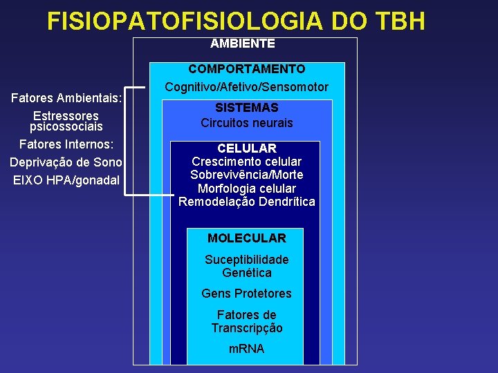 FISIOPATOFISIOLOGIA DO TBH AMBIENTE Fatores Ambientais: Estressores psicossociais Fatores Internos: Deprivação de Sono EIXO