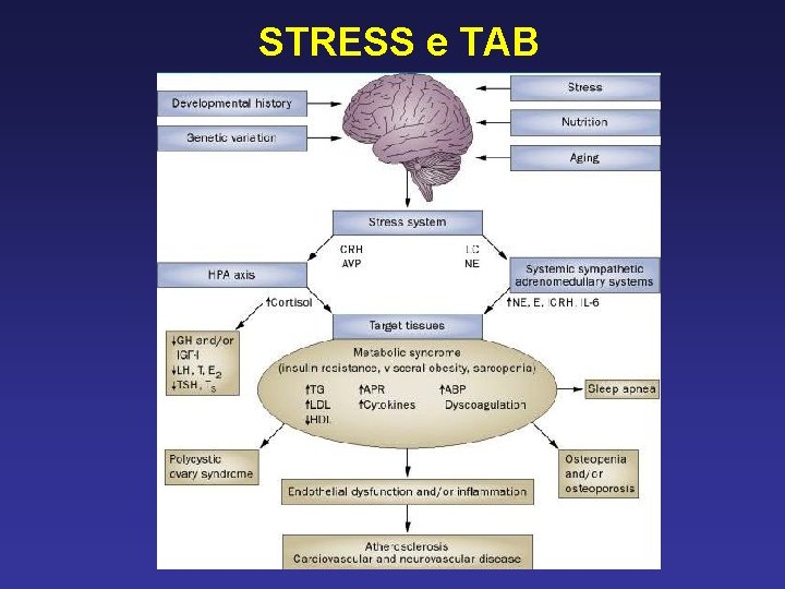 STRESS e TAB 