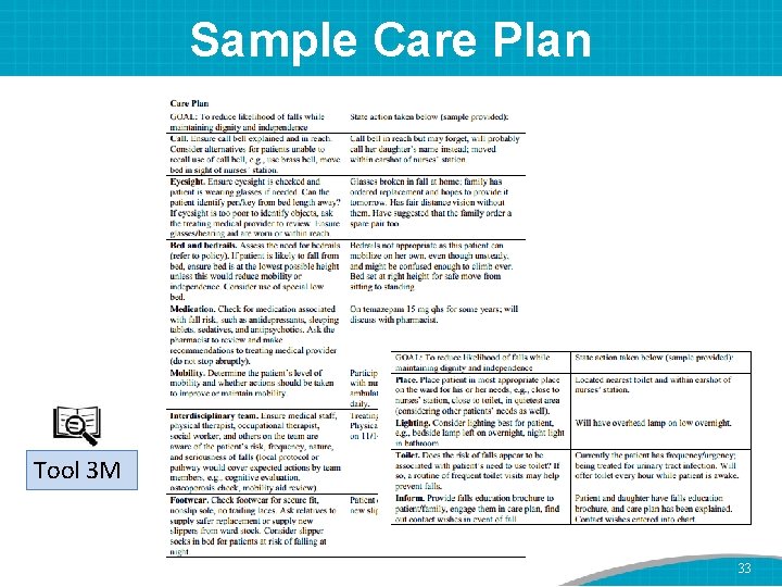 Sample Care Plan Tool 3 M 33 