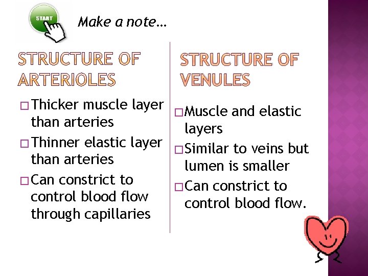 Make a note… STRUCTURE OF VENULES � Thicker muscle layer than arteries � Thinner