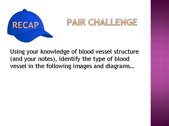 Using your knowledge of blood vessel structure (and your notes), identify the type of