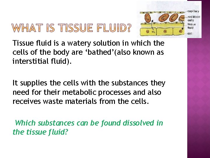 Tissue fluid is a watery solution in which the cells of the body are