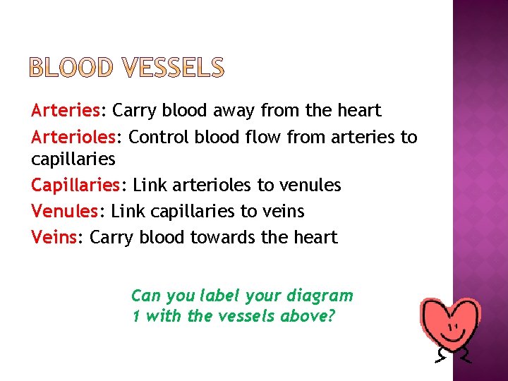 Arteries: Carry blood away from the heart Arterioles: Control blood flow from arteries to