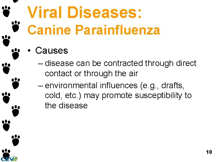 Viral Diseases: Canine Parainfluenza • Causes – disease can be contracted through direct contact