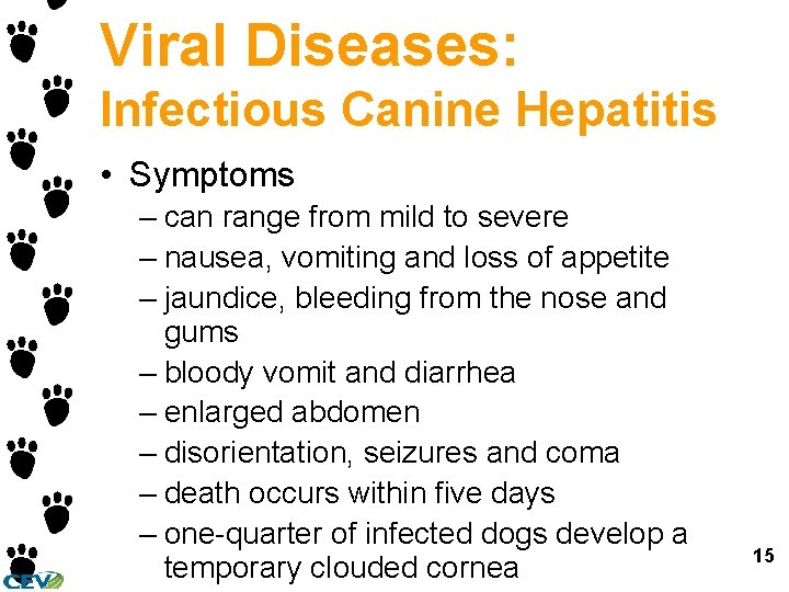 Viral Diseases: Infectious Canine Hepatitis • Symptoms – can range from mild to severe