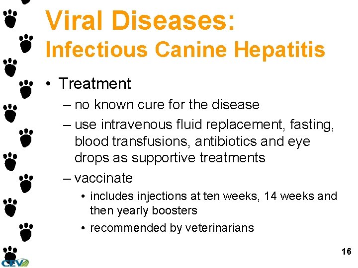 Viral Diseases: Infectious Canine Hepatitis • Treatment – no known cure for the disease