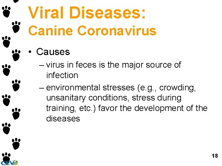 Viral Diseases: Canine Coronavirus • Causes – virus in feces is the major source Viral Diseases: Canine Coronavirus • Causes – virus in feces is the major source