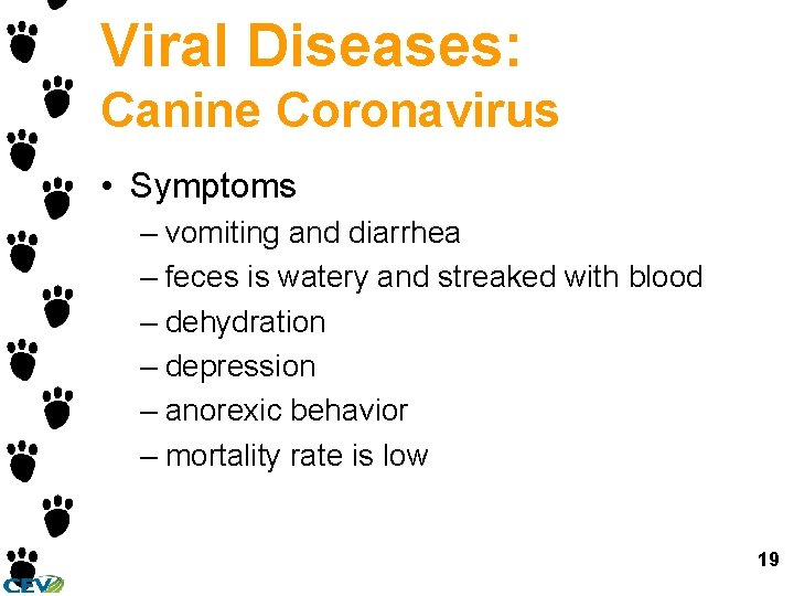 Viral Diseases: Canine Coronavirus • Symptoms – vomiting and diarrhea – feces is watery