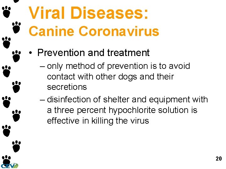 Viral Diseases: Canine Coronavirus • Prevention and treatment – only method of prevention is