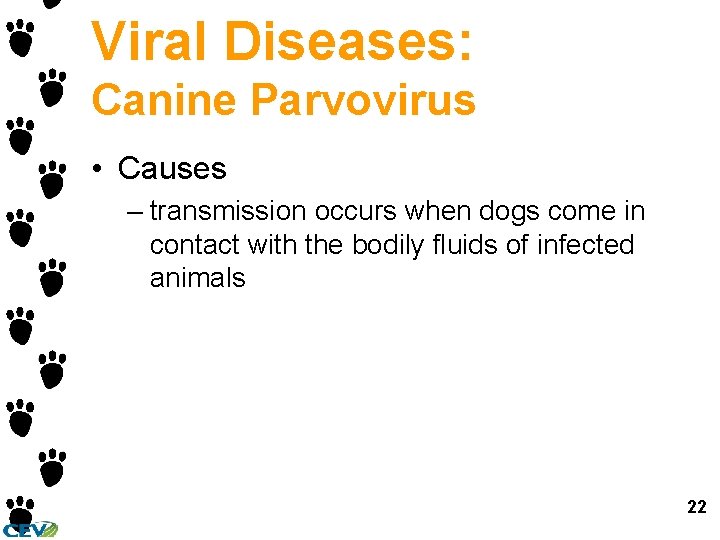 Viral Diseases: Canine Parvovirus • Causes – transmission occurs when dogs come in contact