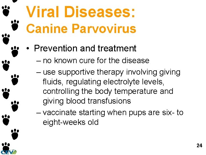 Viral Diseases: Canine Parvovirus • Prevention and treatment – no known cure for the