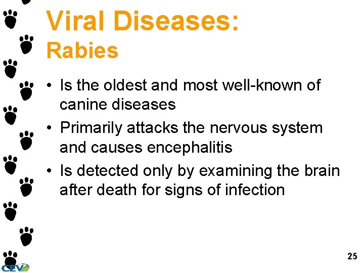 Viral Diseases: Rabies • Is the oldest and most well-known of canine diseases •