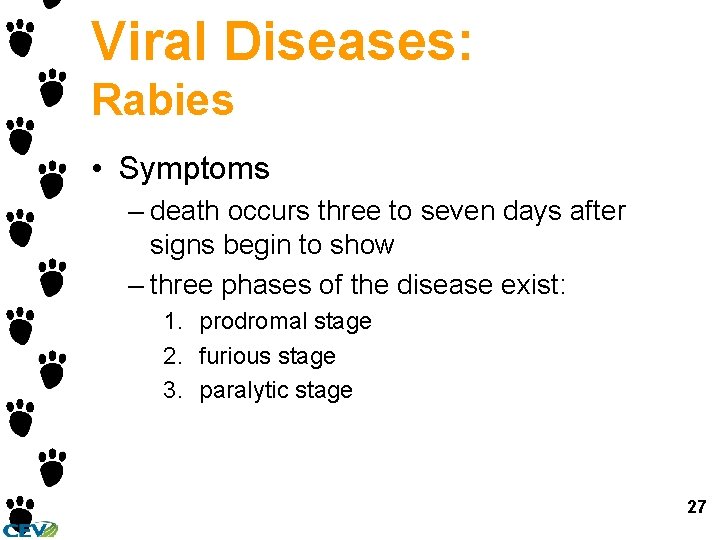 Viral Diseases: Rabies • Symptoms – death occurs three to seven days after signs Viral Diseases: Rabies • Symptoms – death occurs three to seven days after signs
