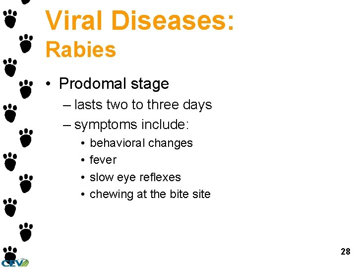 Viral Diseases: Rabies • Prodomal stage – lasts two to three days – symptoms