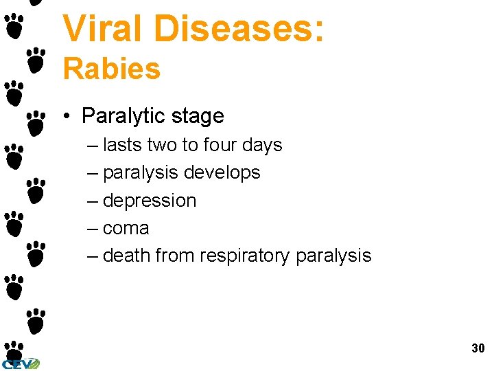 Viral Diseases: Rabies • Paralytic stage – lasts two to four days – paralysis