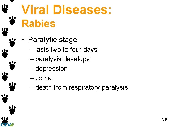Viral Diseases: Rabies • Paralytic stage – lasts two to four days – paralysis Viral Diseases: Rabies • Paralytic stage – lasts two to four days – paralysis