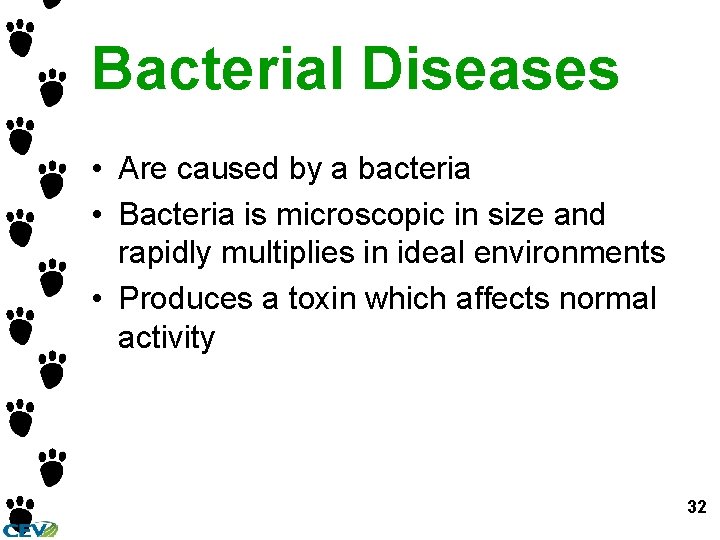 Bacterial Diseases • Are caused by a bacteria • Bacteria is microscopic in size