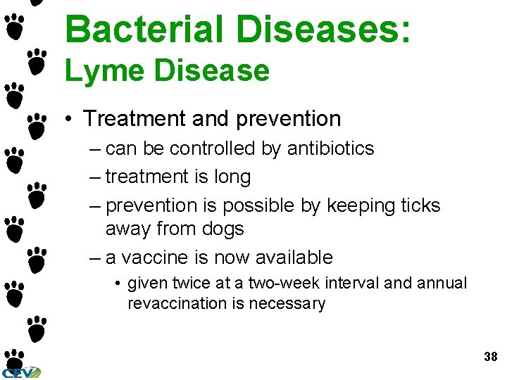 Bacterial Diseases: Lyme Disease • Treatment and prevention – can be controlled by antibiotics Bacterial Diseases: Lyme Disease • Treatment and prevention – can be controlled by antibiotics