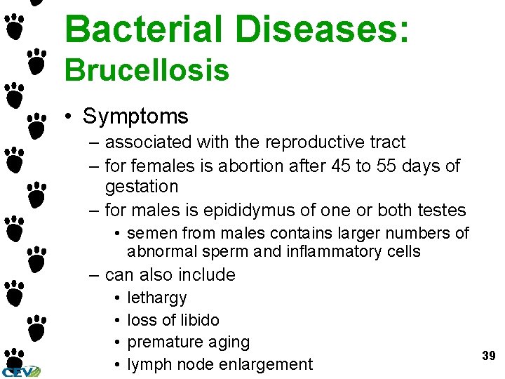 Bacterial Diseases: Brucellosis • Symptoms – associated with the reproductive tract – for females Bacterial Diseases: Brucellosis • Symptoms – associated with the reproductive tract – for females