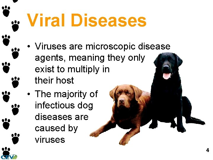 Viral Diseases • Viruses are microscopic disease agents, meaning they only exist to multiply