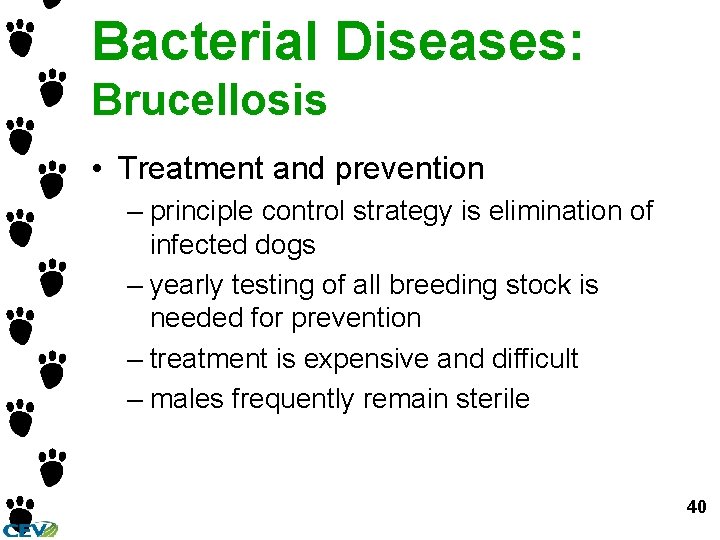 Bacterial Diseases: Brucellosis • Treatment and prevention – principle control strategy is elimination of