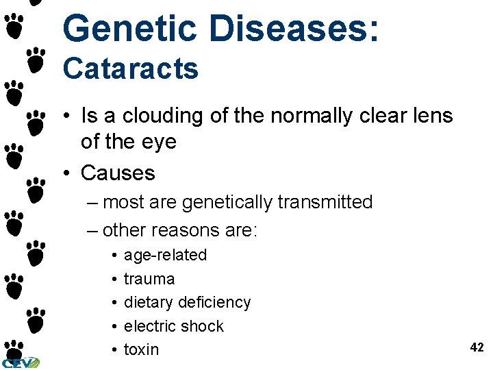 Genetic Diseases: Cataracts • Is a clouding of the normally clear lens of the