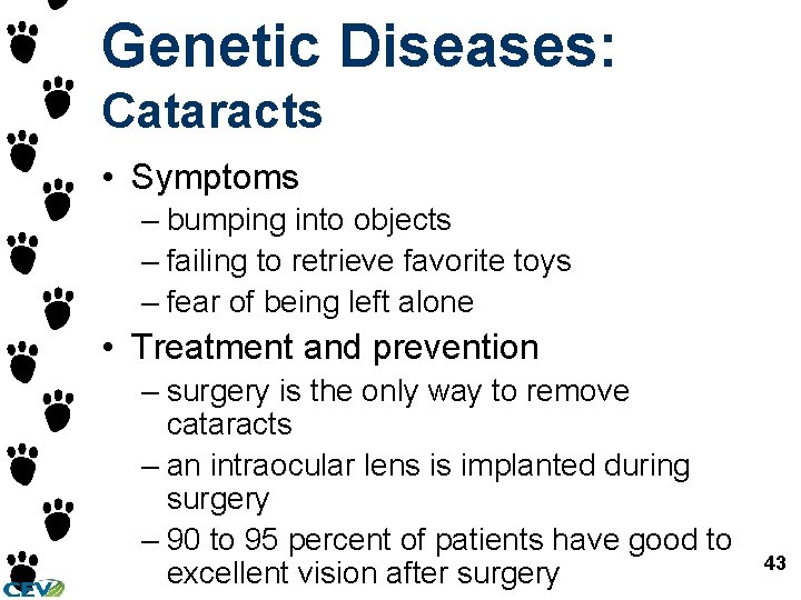 Genetic Diseases: Cataracts • Symptoms – bumping into objects – failing to retrieve favorite