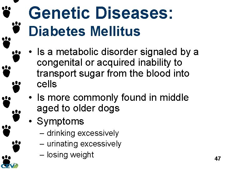 Genetic Diseases: Diabetes Mellitus • Is a metabolic disorder signaled by a congenital or