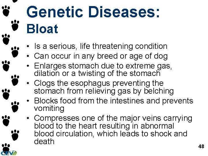 Genetic Diseases: Bloat • Is a serious, life threatening condition • Can occur in Genetic Diseases: Bloat • Is a serious, life threatening condition • Can occur in