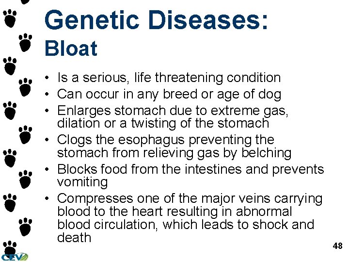 Genetic Diseases: Bloat • Is a serious, life threatening condition • Can occur in