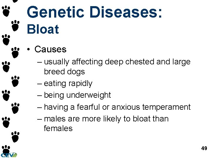 Genetic Diseases: Bloat • Causes – usually affecting deep chested and large breed dogs