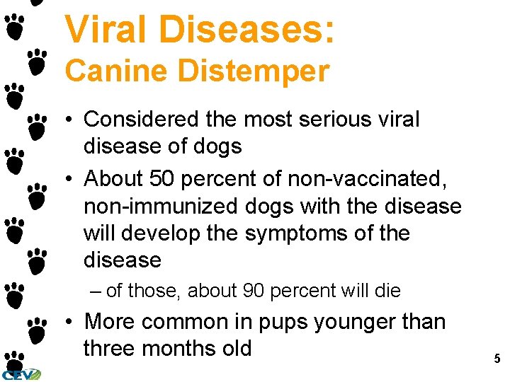 Viral Diseases: Canine Distemper • Considered the most serious viral disease of dogs •