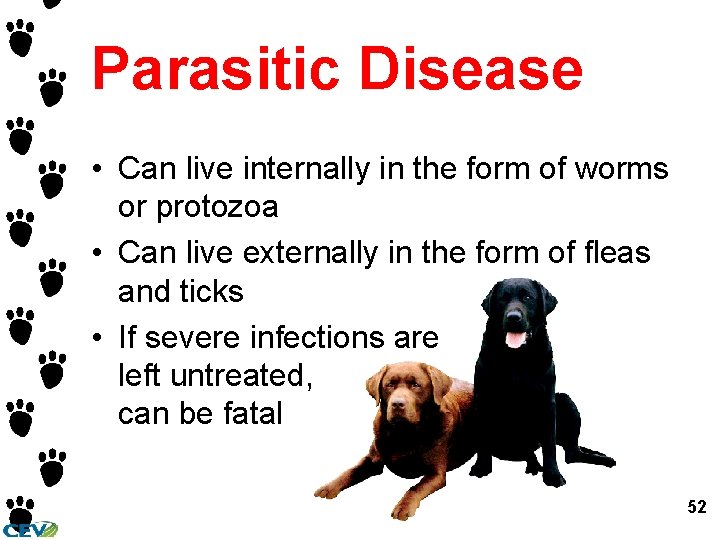 Parasitic Disease • Can live internally in the form of worms or protozoa •