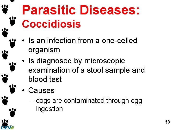 Parasitic Diseases: Coccidiosis • Is an infection from a one-celled organism • Is diagnosed