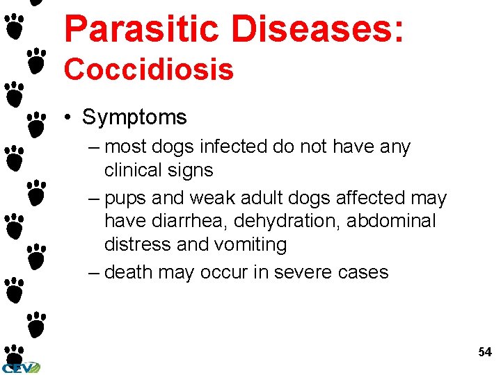 Parasitic Diseases: Coccidiosis • Symptoms – most dogs infected do not have any clinical