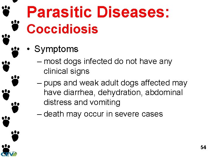 Parasitic Diseases: Coccidiosis • Symptoms – most dogs infected do not have any clinical Parasitic Diseases: Coccidiosis • Symptoms – most dogs infected do not have any clinical