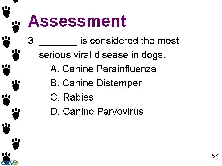 Assessment 3. _______ is considered the most serious viral disease in dogs. A. Canine