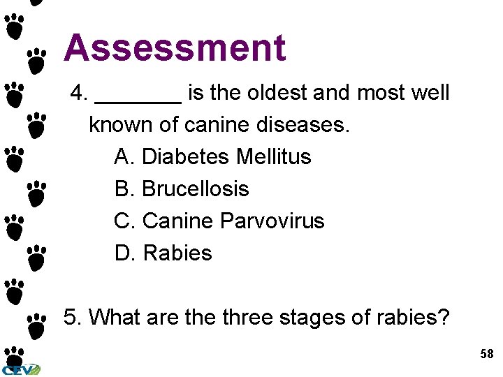 Assessment 4. _______ is the oldest and most well known of canine diseases. A.