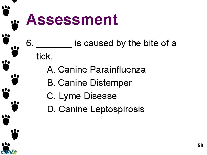 Assessment 6. _______ is caused by the bite of a tick. A. Canine Parainfluenza Assessment 6. _______ is caused by the bite of a tick. A. Canine Parainfluenza