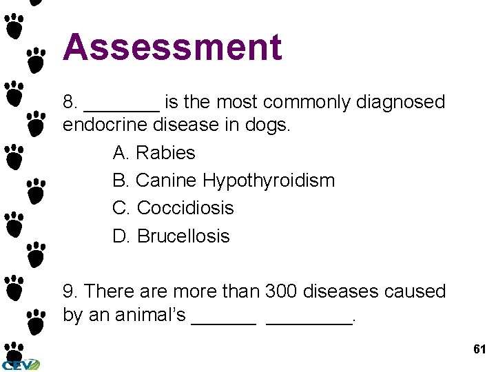 Assessment 8. _______ is the most commonly diagnosed endocrine disease in dogs. A. Rabies