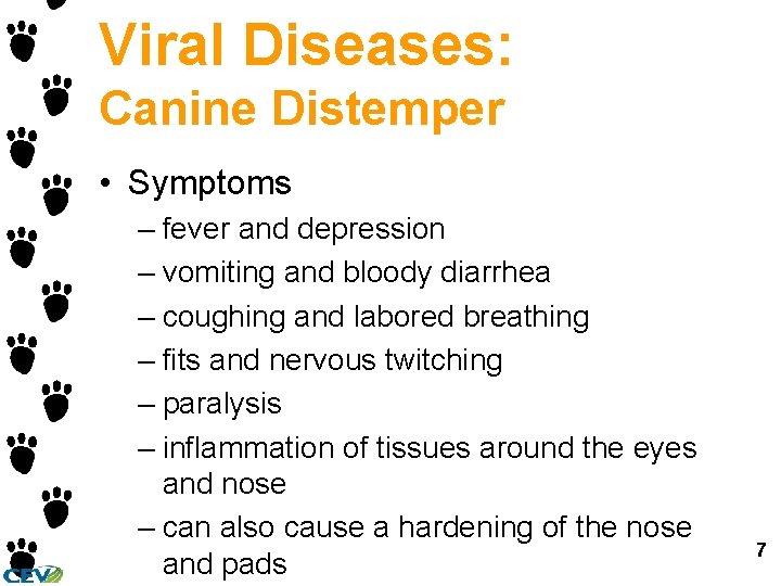 Viral Diseases: Canine Distemper • Symptoms – fever and depression – vomiting and bloody