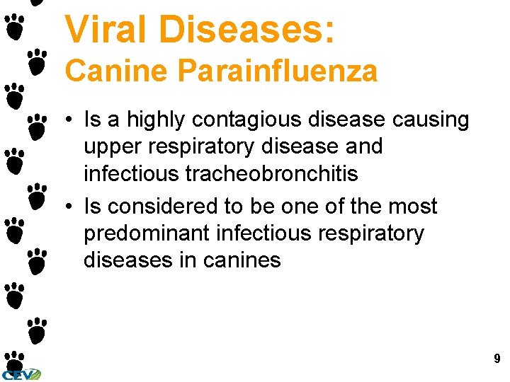 Viral Diseases: Canine Parainfluenza • Is a highly contagious disease causing upper respiratory disease