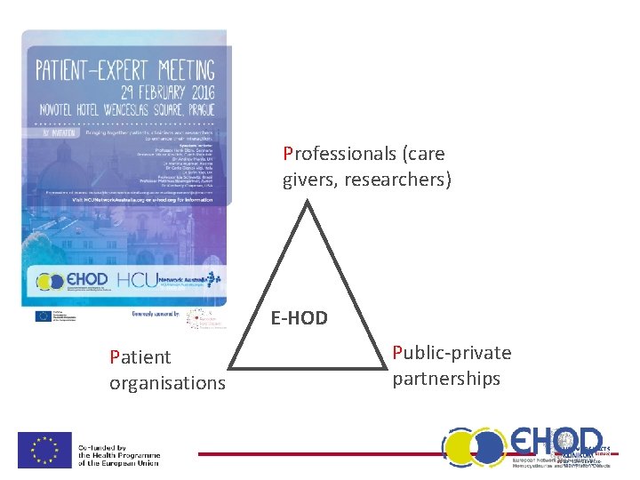 Professionals (care givers, researchers) E-HOD Patient organisations Public-private partnerships 