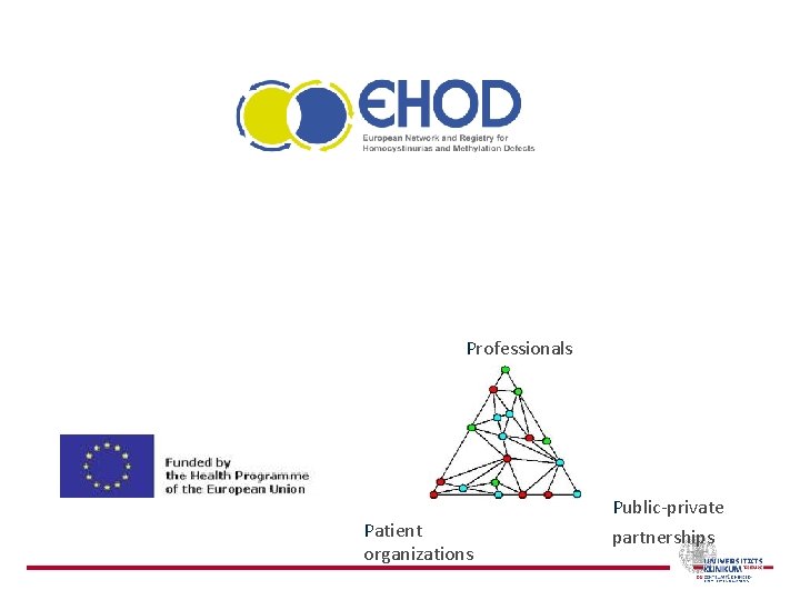 Professionals Patient organizations Public-private partnerships 