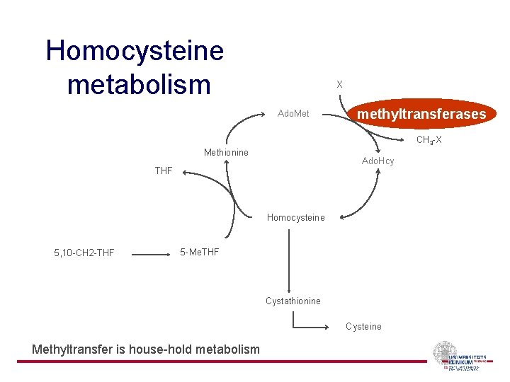 Homocysteine metabolism X Ado. Met methyltransferases CH 3 -X Methionine Ado. Hcy THF Homocysteine