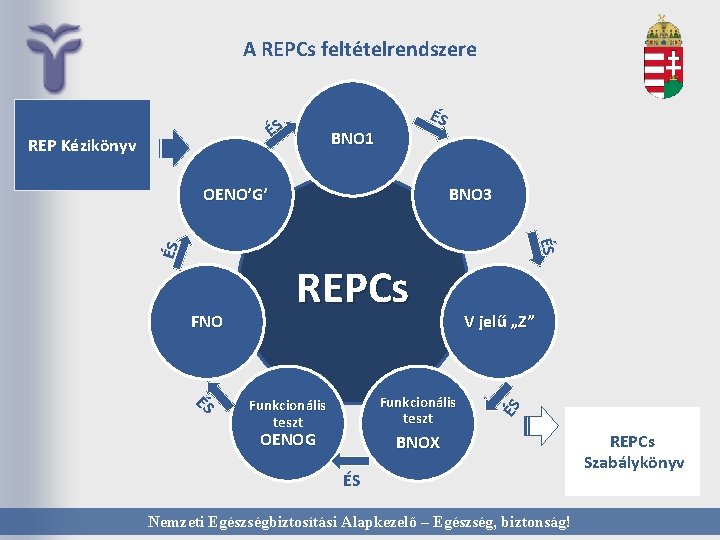 A REPCs feltételrendszere ÉS REP Kézikönyv ÉS BNO 1 OENO’G’ BNO 3 ÉS Funkcionális