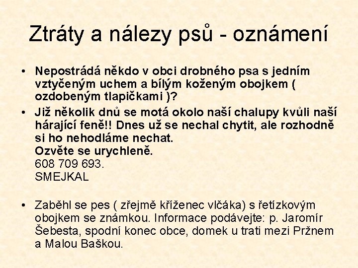 Ztráty a nálezy psů - oznámení • Nepostrádá někdo v obci drobného psa s