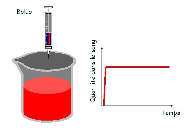 Quantité dans le sang Bolus temps 